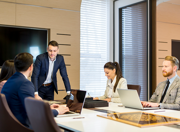 Initial Public Offer (IPO)